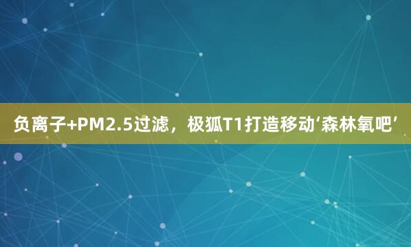 负离子+PM2.5过滤，极狐T1打造移动‘森林氧吧’