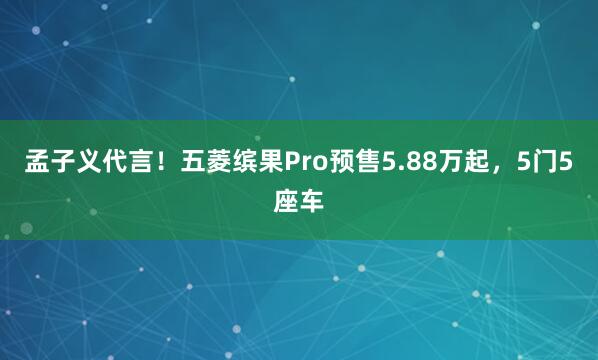 孟子义代言！五菱缤果Pro预售5.88万起，5门5座车